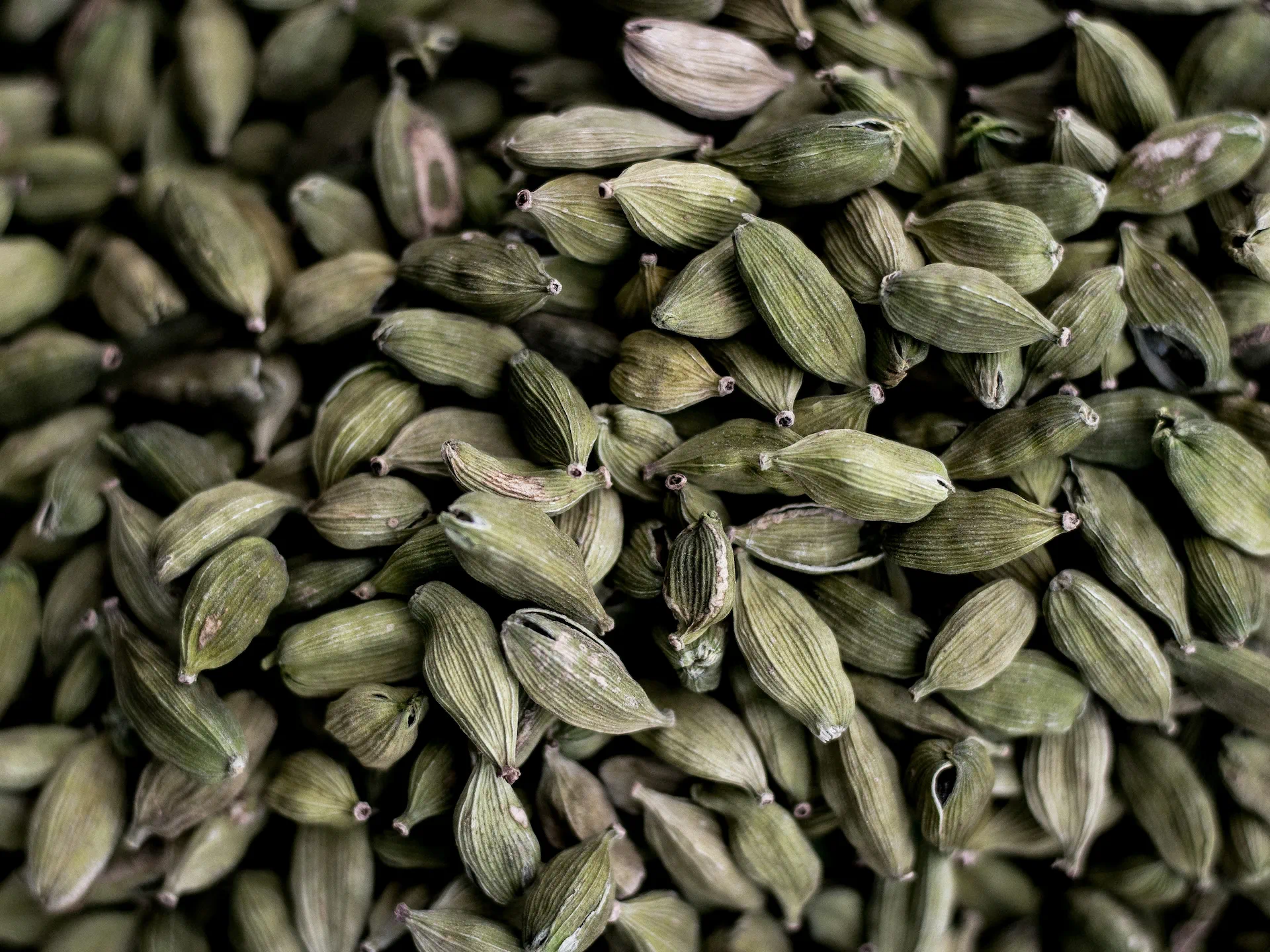 Cardamom
