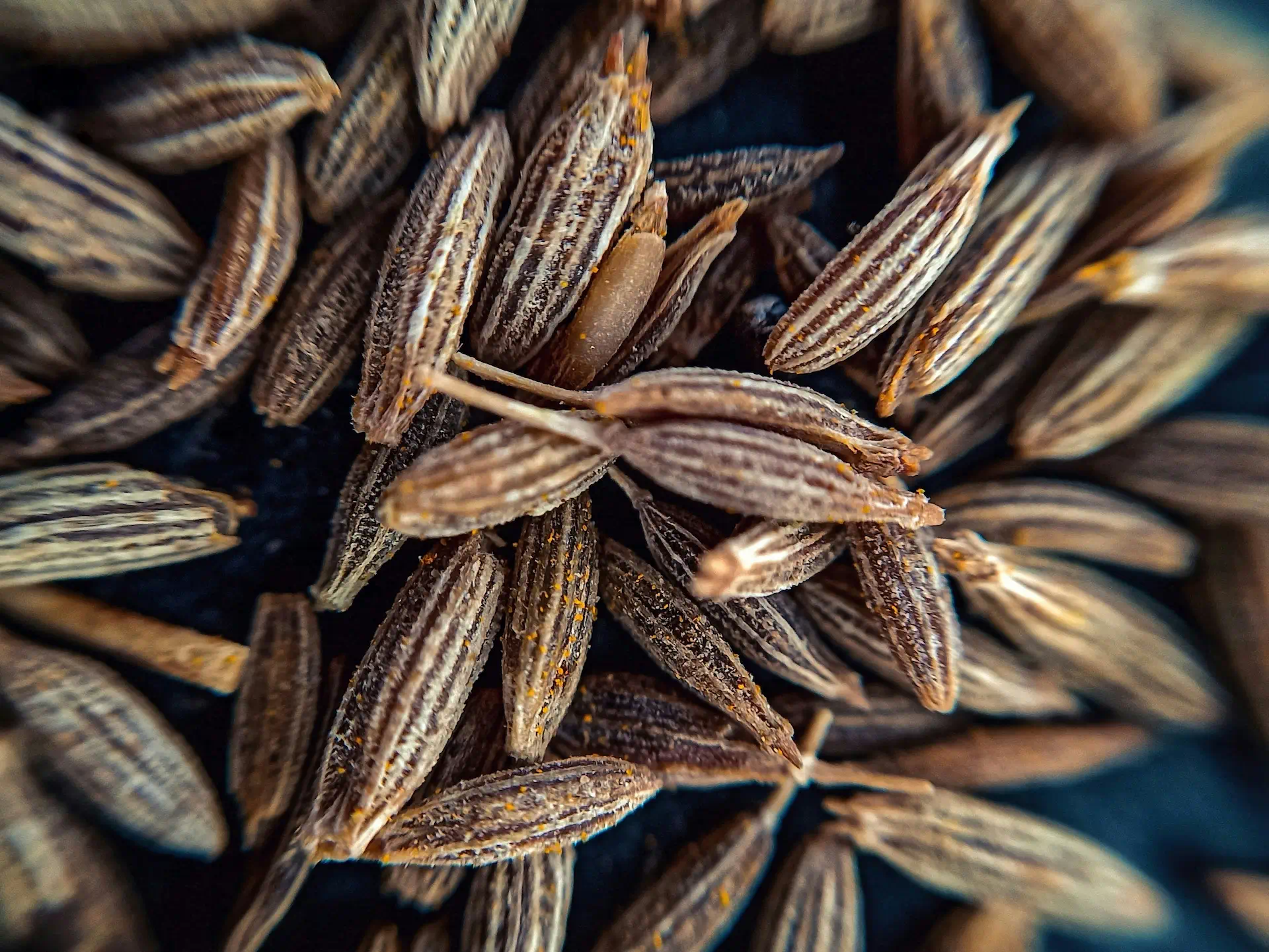 Cumin