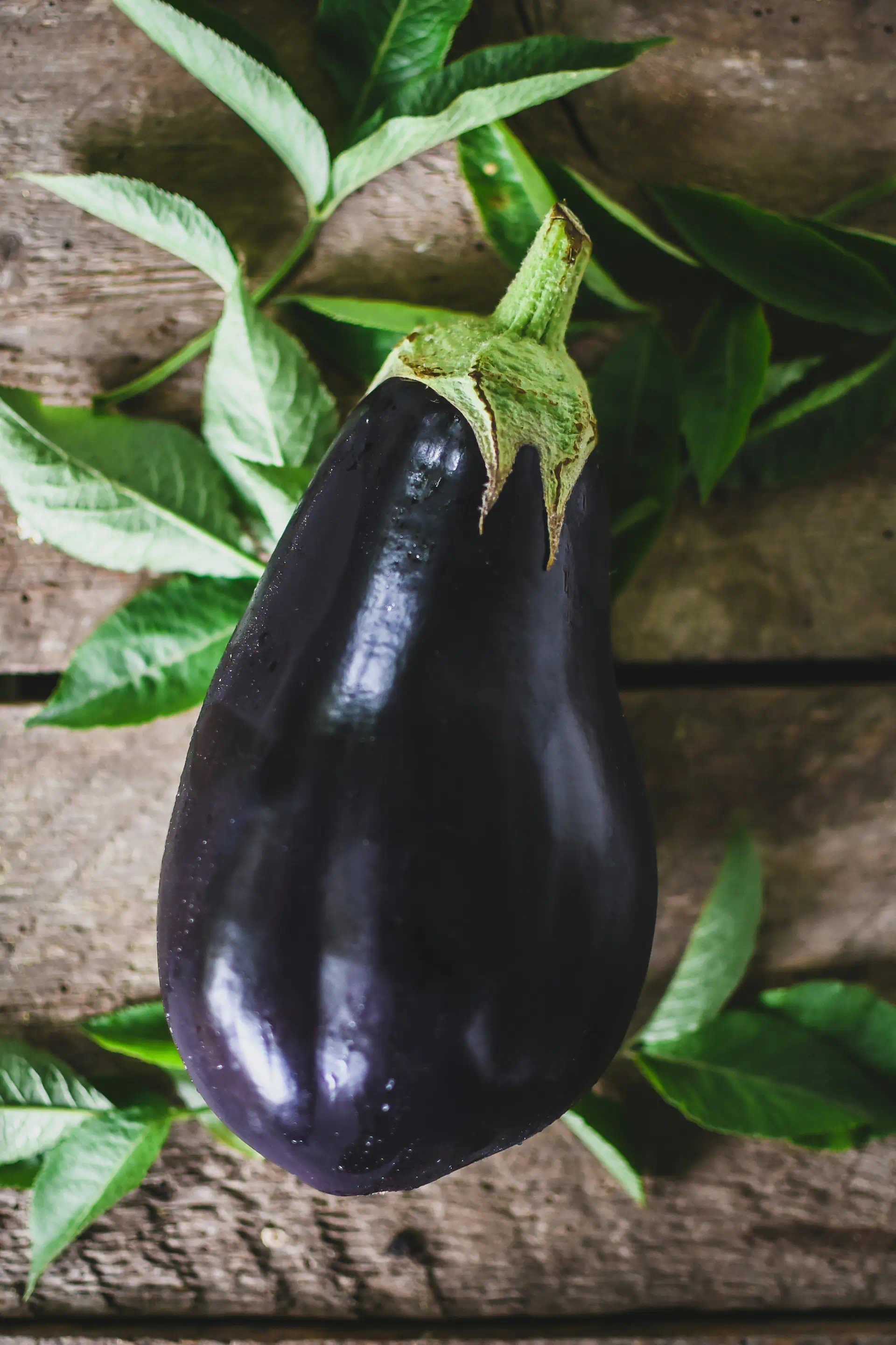 Eggplant