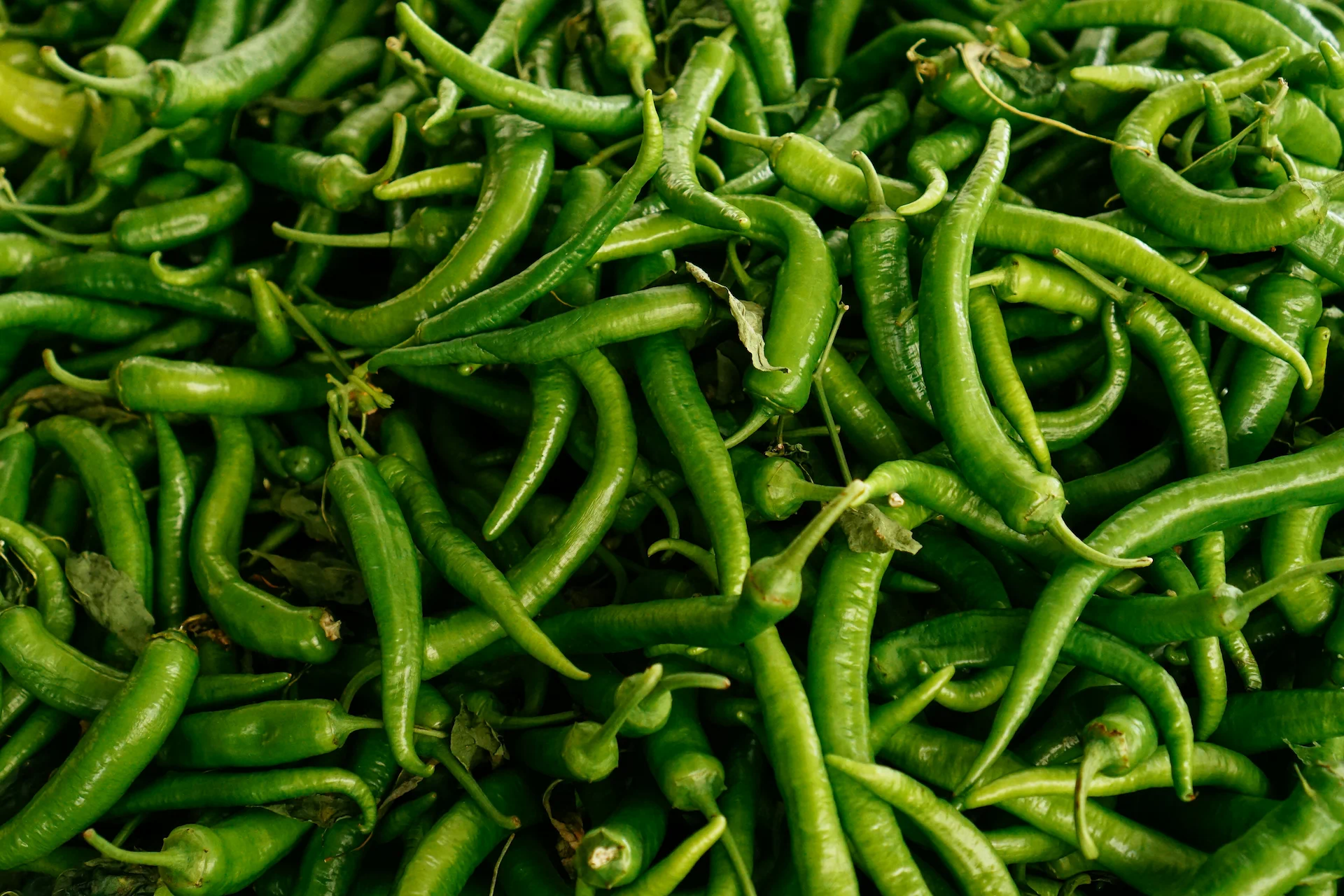Fresh Green Chilli